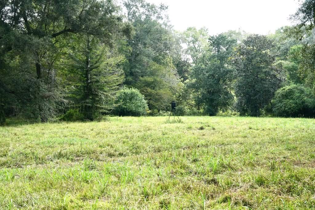 34 Acres Waterfront Property South Mississippi with Cabin