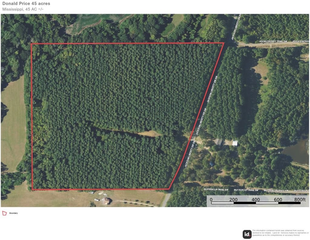 45 Acre Timberland Hunting Lincoln County South MS