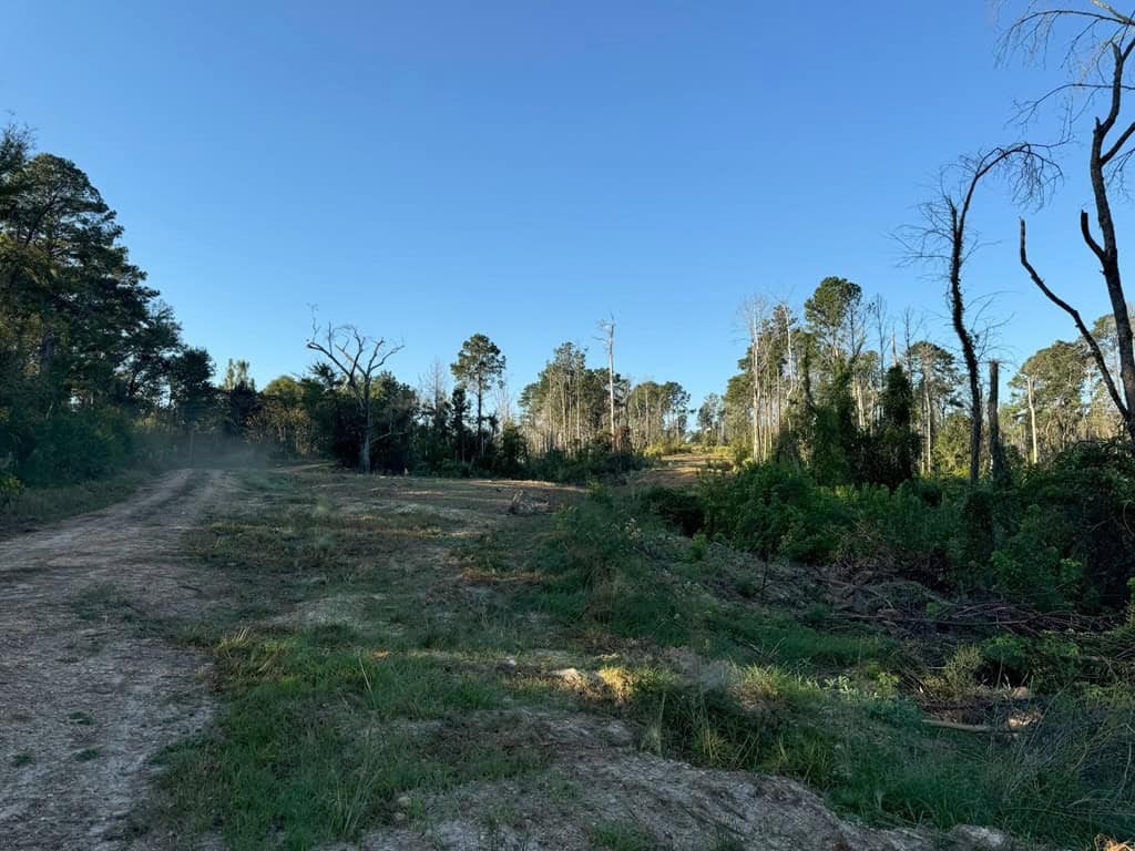 296 Acre Timberland for Sale with Creek Southwest MS