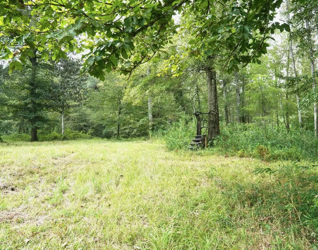 34 Acres Waterfront Property South Mississippi with Cabin