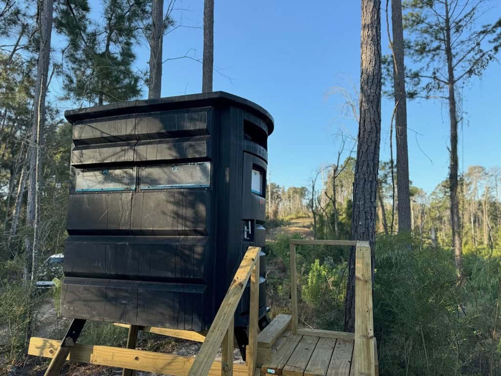 296 Acre Timberland for Sale with Creek Southwest MS