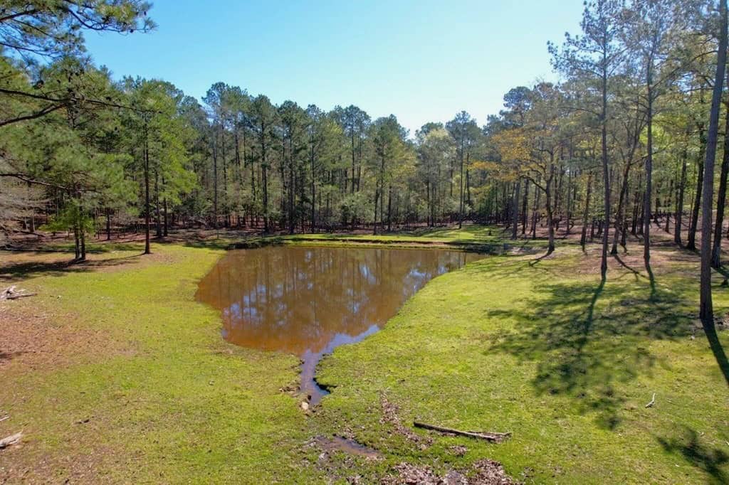 192 Acres of Land with 3 BR Hunting Lodge