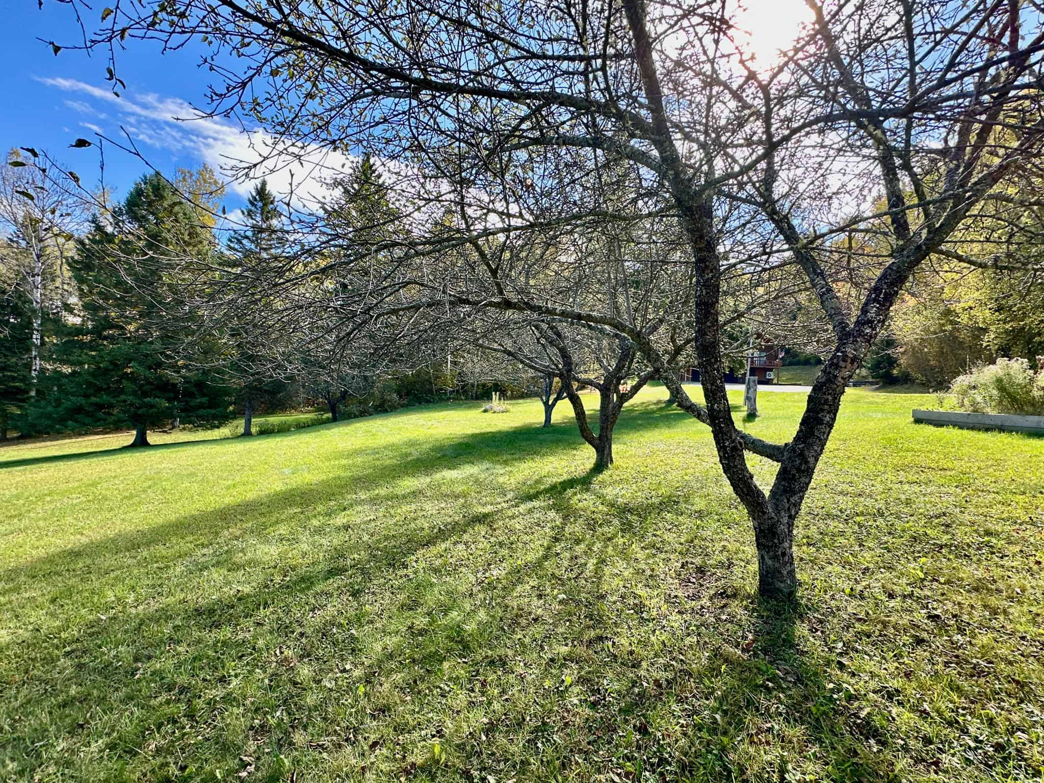 Contemporary Home on 10.5 acres with Pond