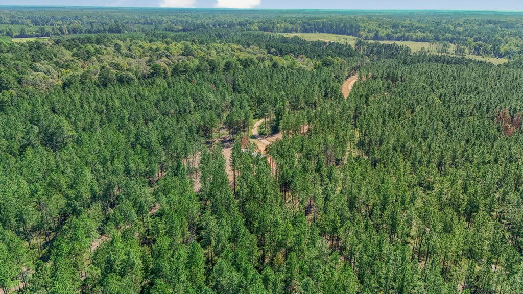 Turnkey Property in Amite County Connected to Caston Creek