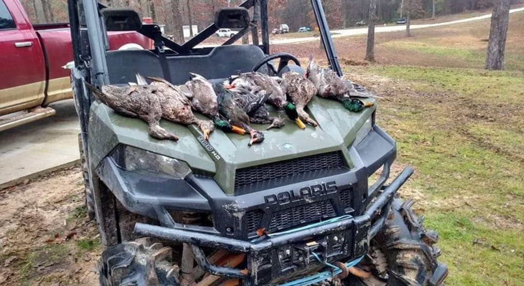 Hunting and Timberland for Sale in Ouachita Parish, LA