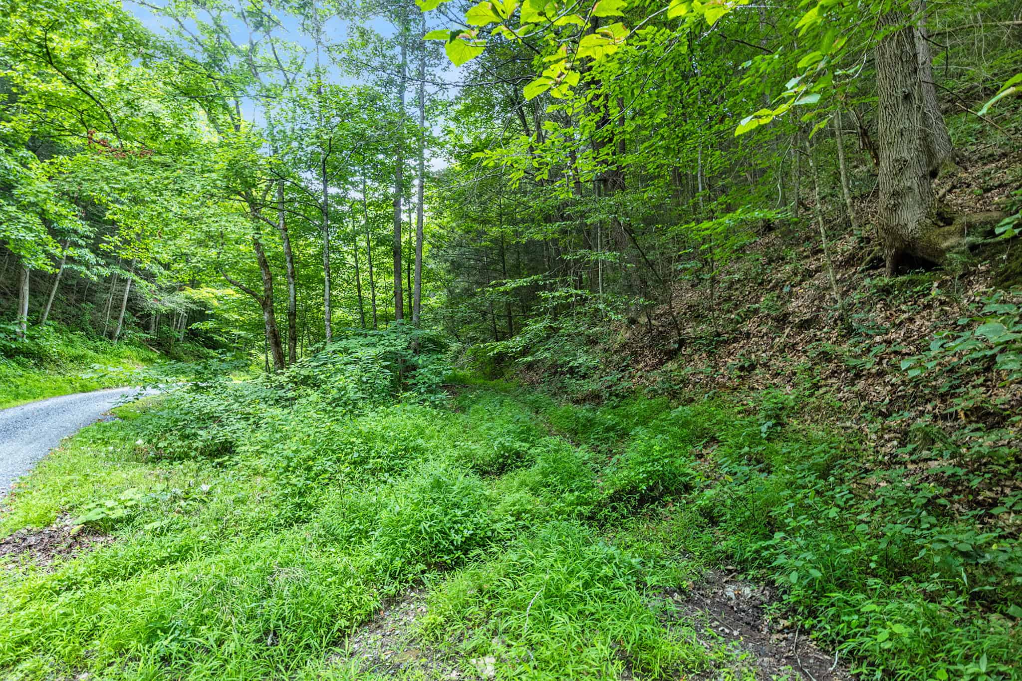 Building Lot for Sale in Bristol VA