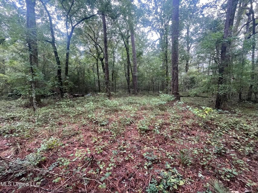 42 Acres for Sale with Old Country Home Scott Co MS