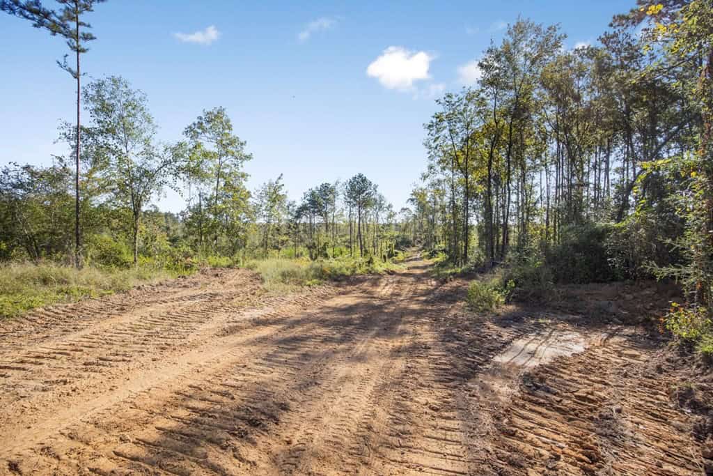 Small Hunting Tract in Amite County, MS
