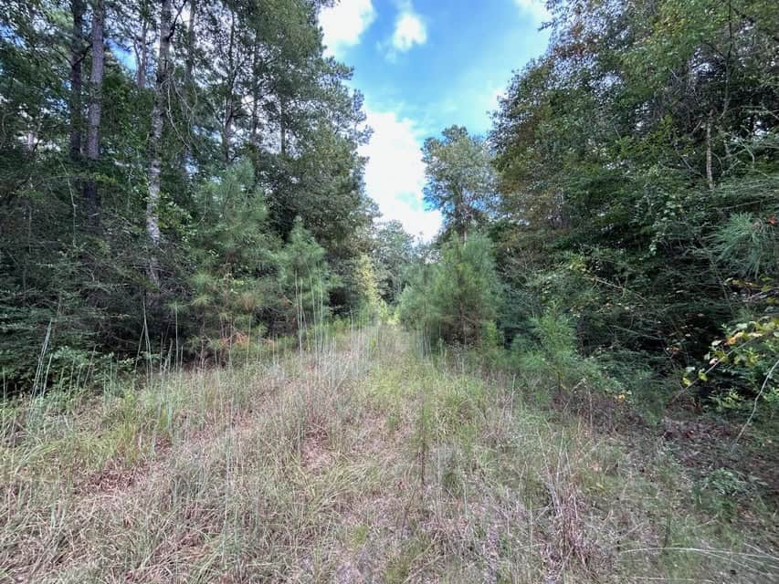The Tower Road 20 Acres