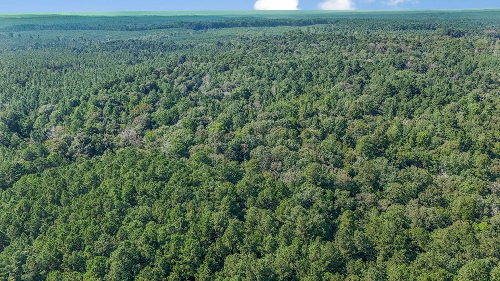 Turnkey Property in Amite County Connected to Caston Creek