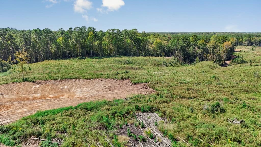 Small Hunting Tract in Amite County, MS