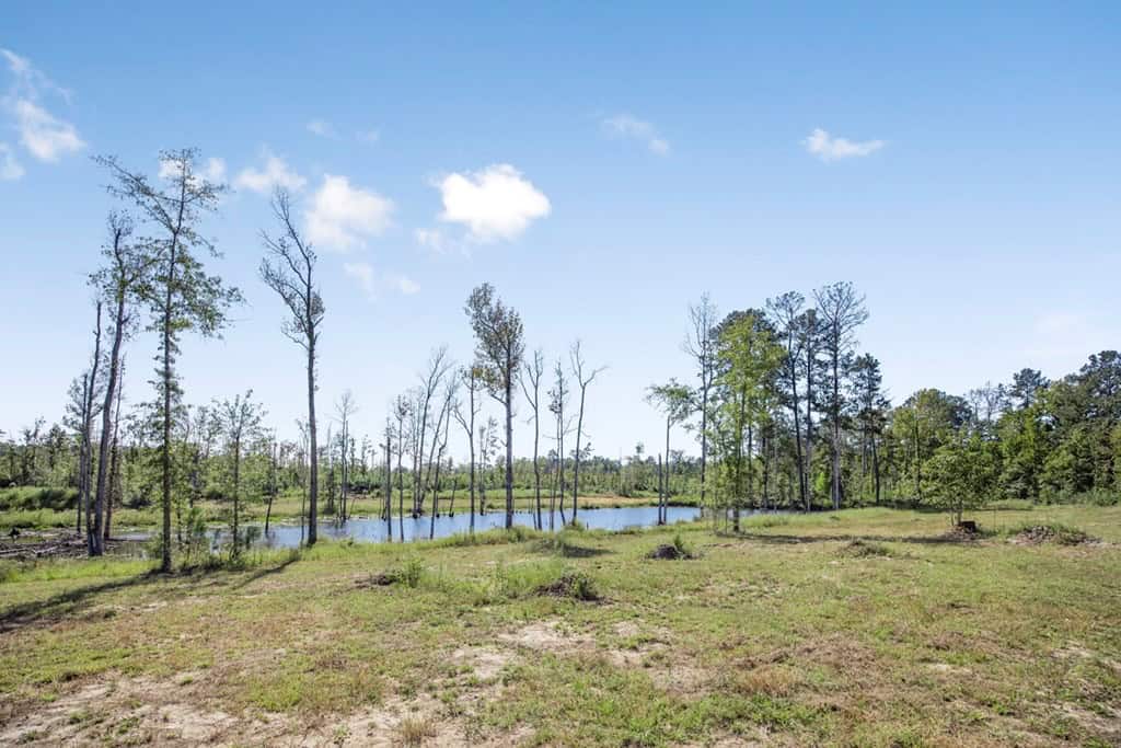 Small Hunting Tract in Amite County, MS
