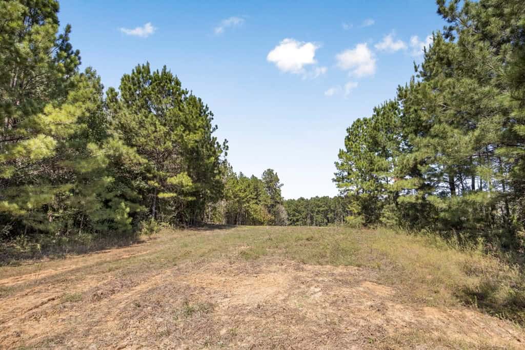 Turnkey Hunting Property Connected to Caston Creek WMA