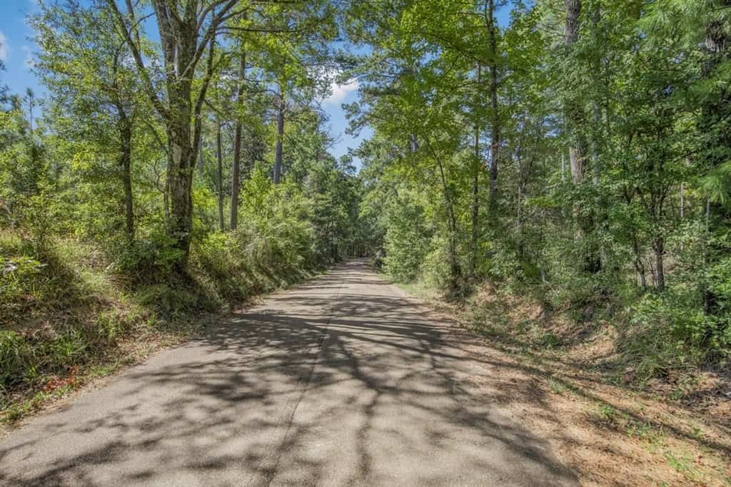 Franklin County Land Adjoining Homochitto National Forest