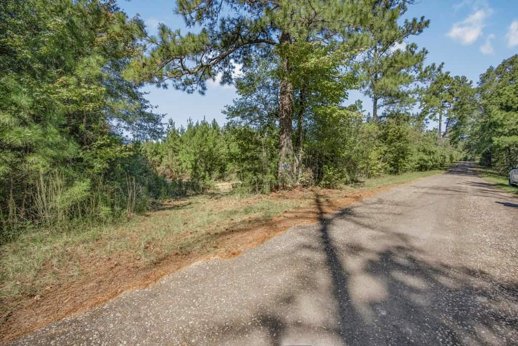 Affordable Hunting Property Adjoining National Forest