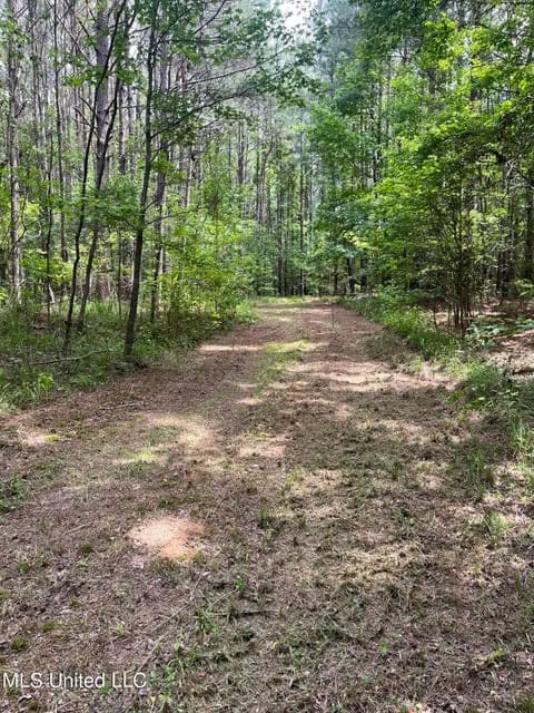 28 Acres in Hinds County