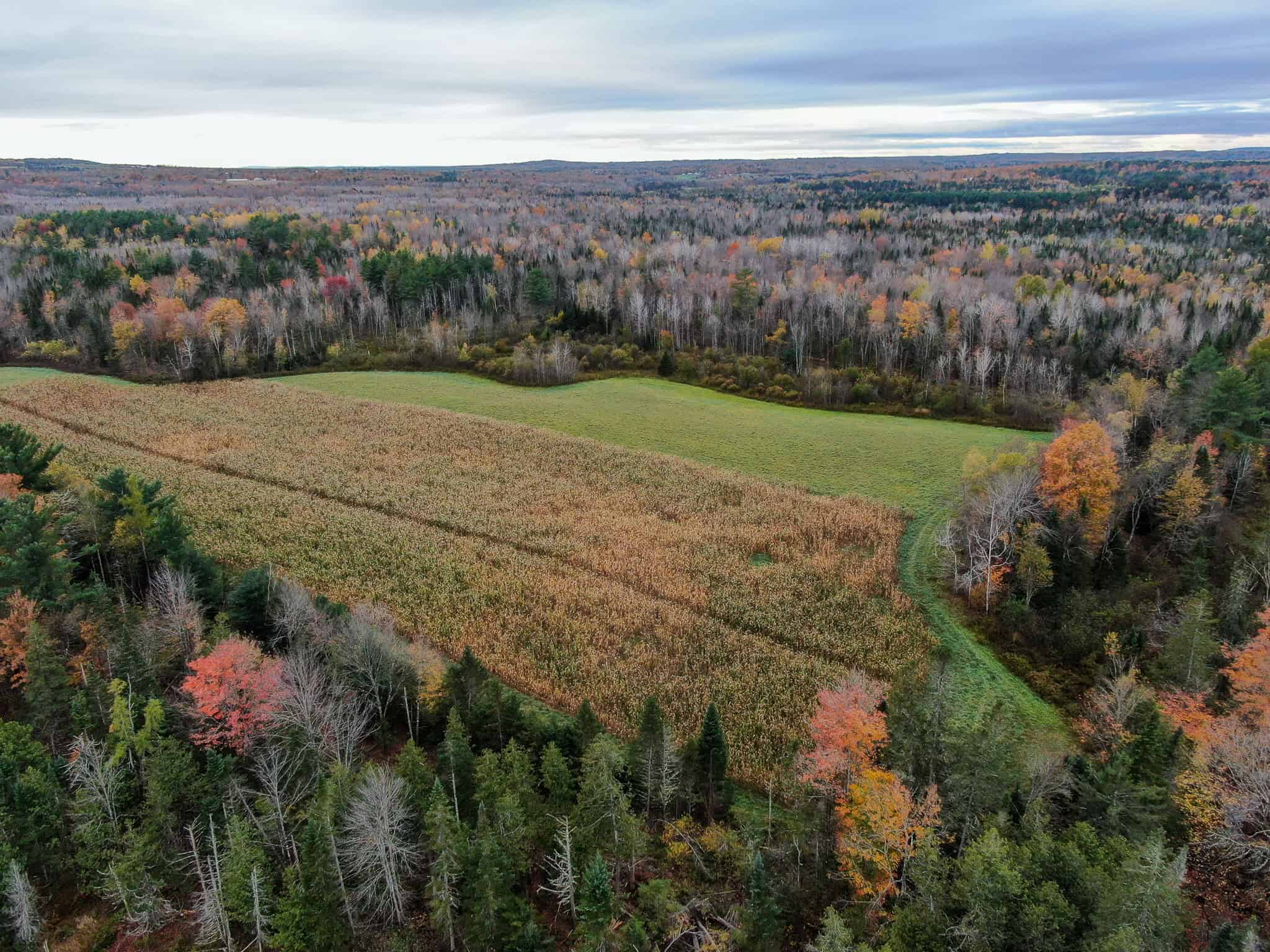 Homestead & Hunting Land in Central Maine