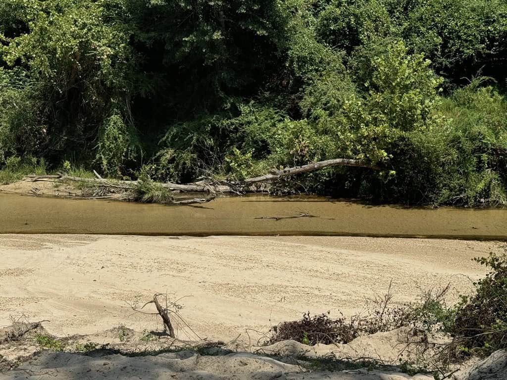 296 Acre Timberland for Sale with Creek Southwest MS