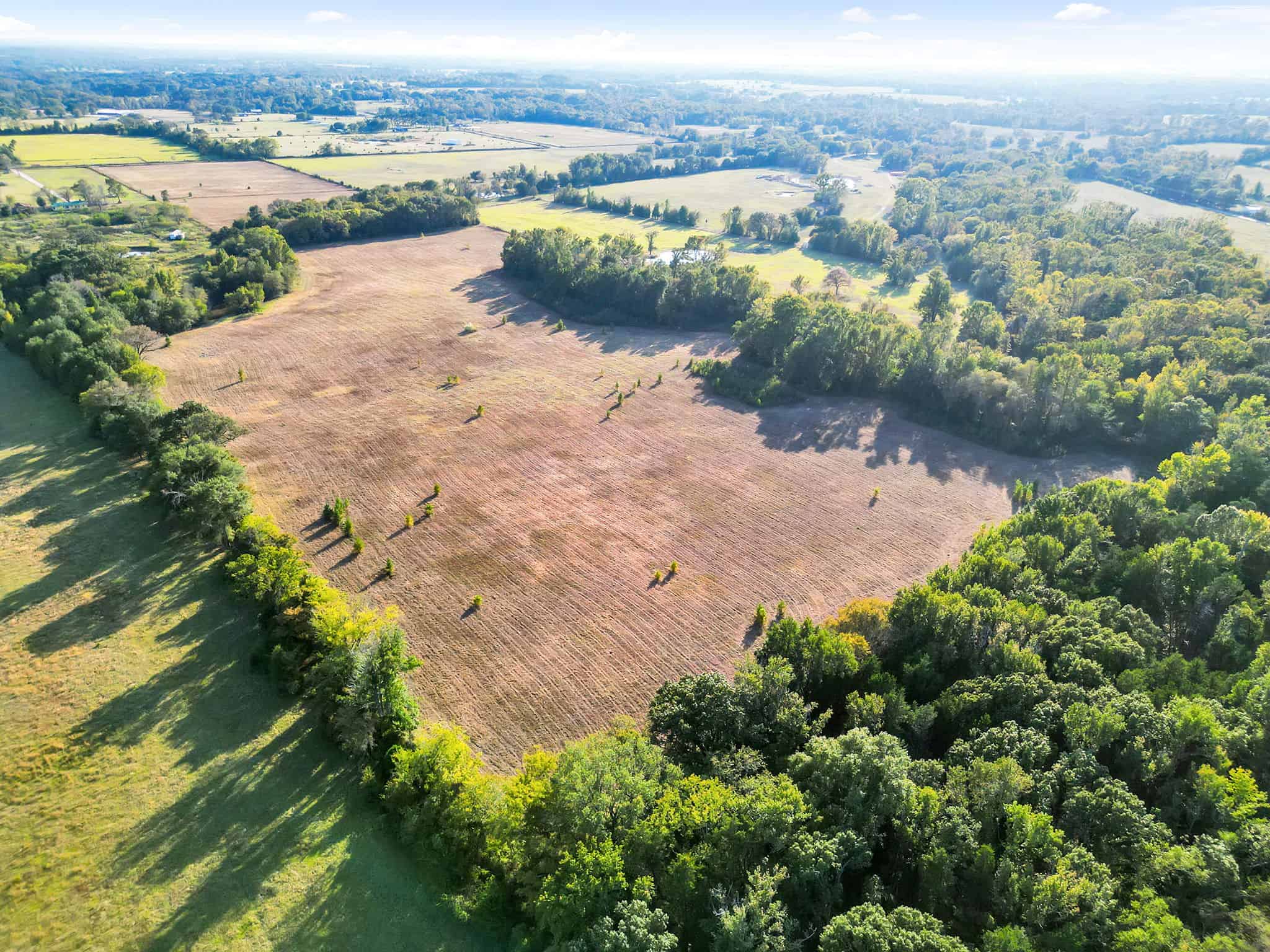 SOLD! Texas Land for Sale East of Dallas Near Ben Wheeler