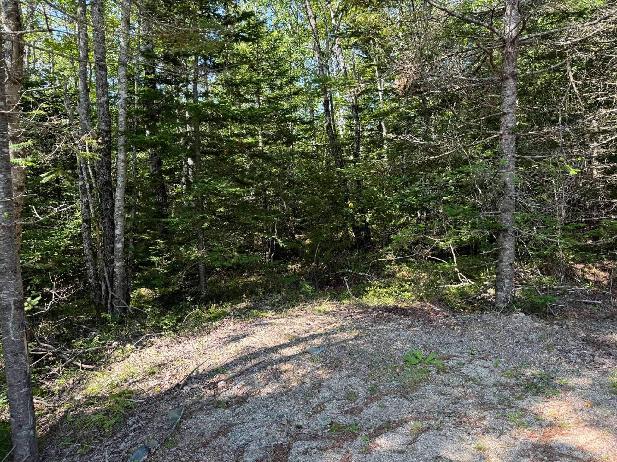 21 Acre Wooded Lot