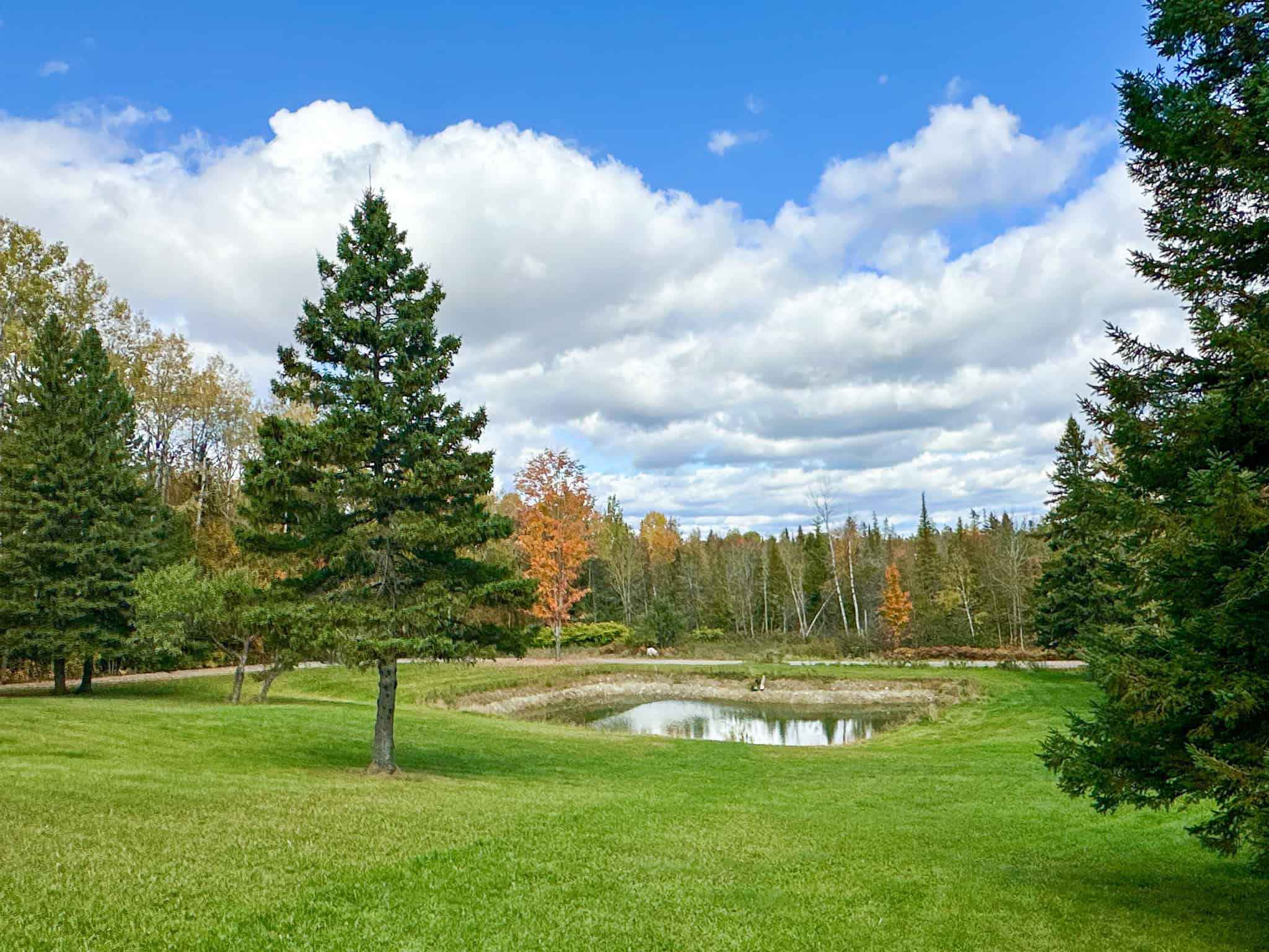 Contemporary Home on 10.5 acres with Pond