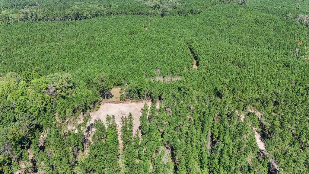 Turnkey Property in Amite County Connected to Caston Creek