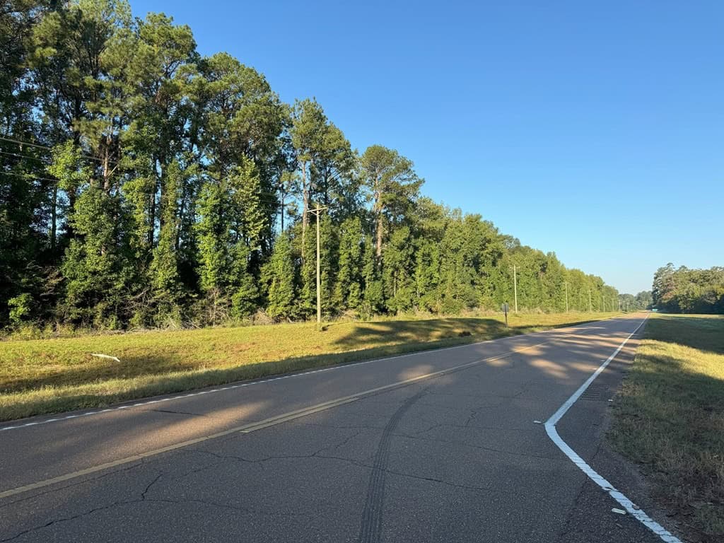 296 Acre Timberland for Sale with Creek Southwest MS