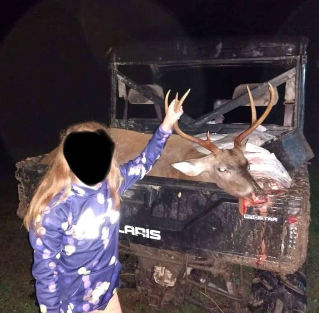 Hunting and Timberland for Sale in Ouachita Parish, LA