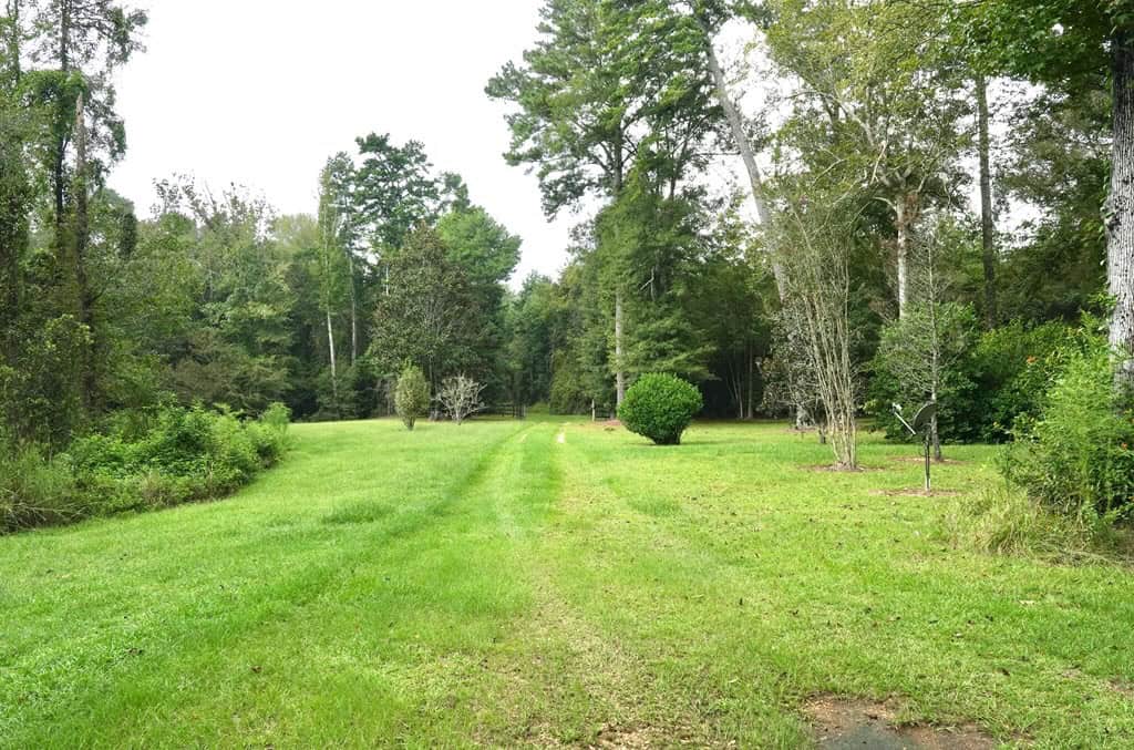 34 Acres Waterfront Property South Mississippi with Cabin