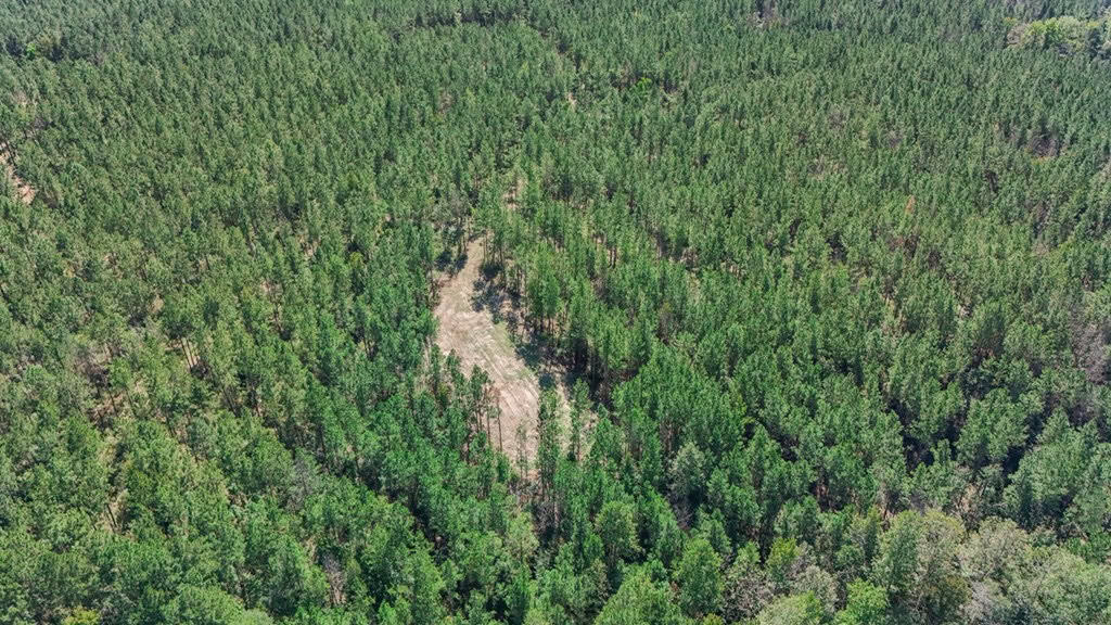 Turnkey Property in Amite County Connected to Caston Creek