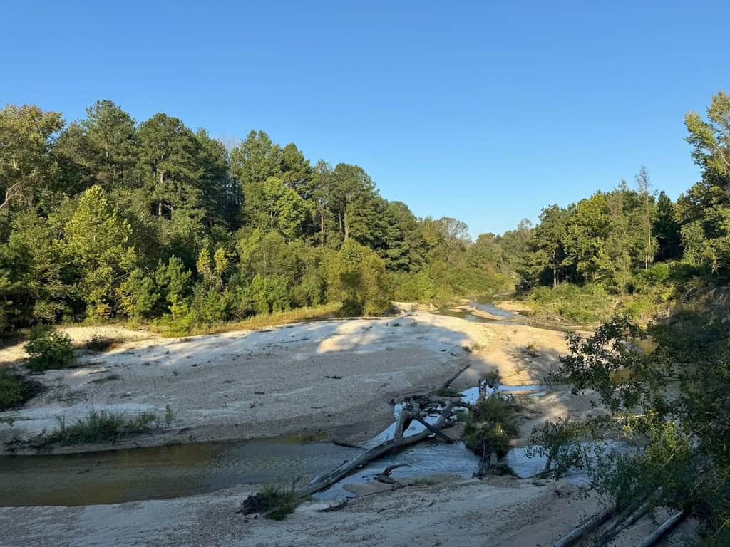 296 Acre Timberland for Sale with Creek Southwest MS