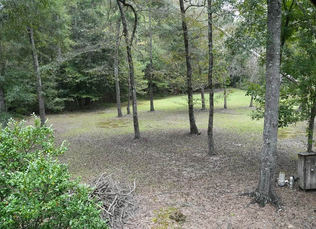 34 Acres Waterfront Property South Mississippi with Cabin