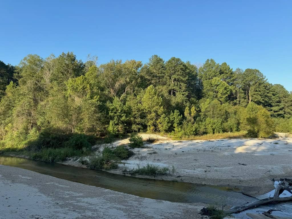 296 Acre Timberland for Sale with Creek Southwest MS