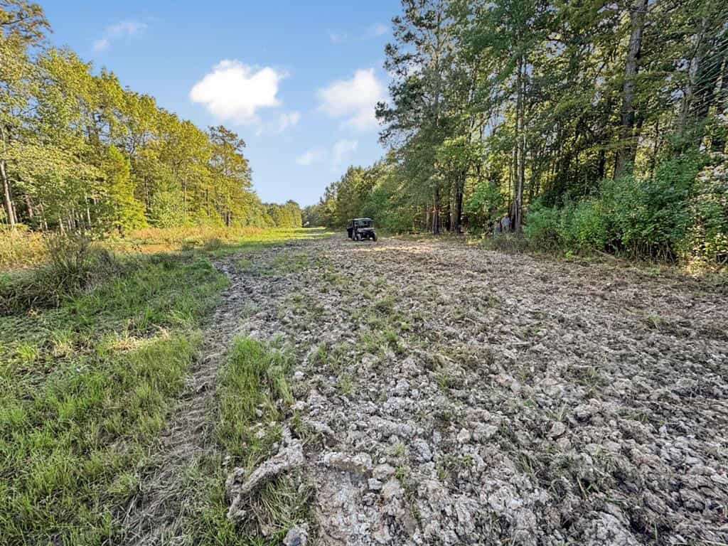 Hunting and Timberland for Sale in Ouachita Parish, LA
