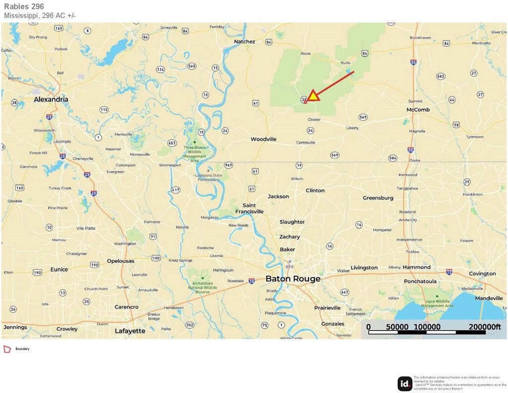 296 Acre Timberland for Sale with Creek Southwest MS