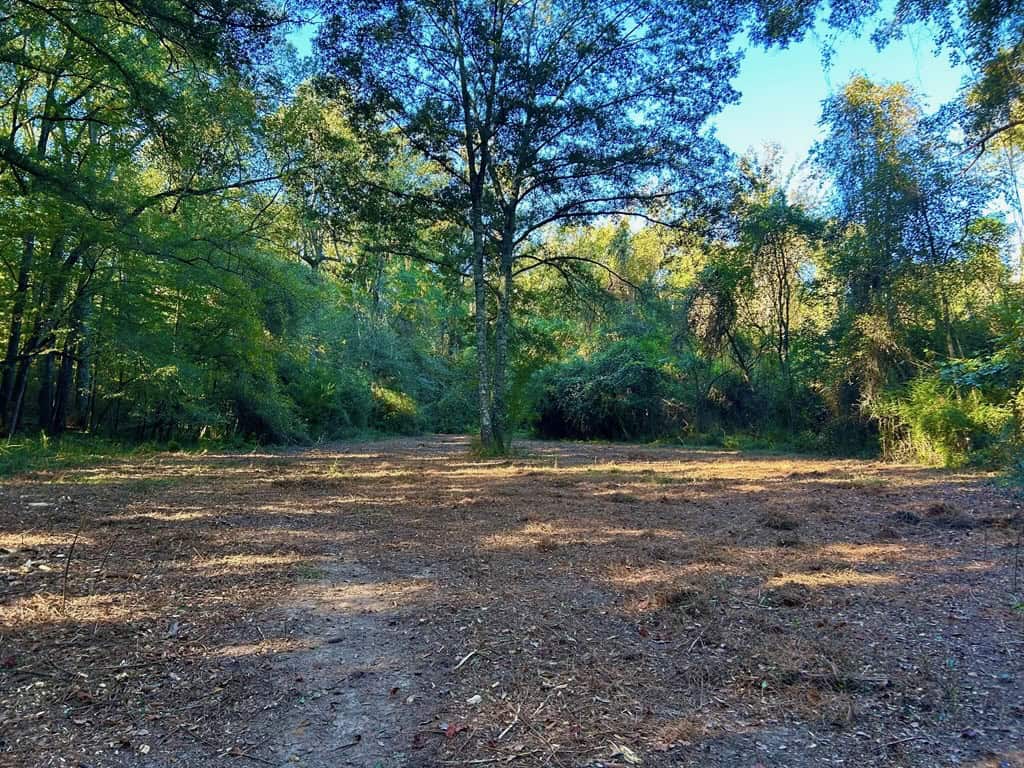 Smithdale MS 80+- Acres For Sale