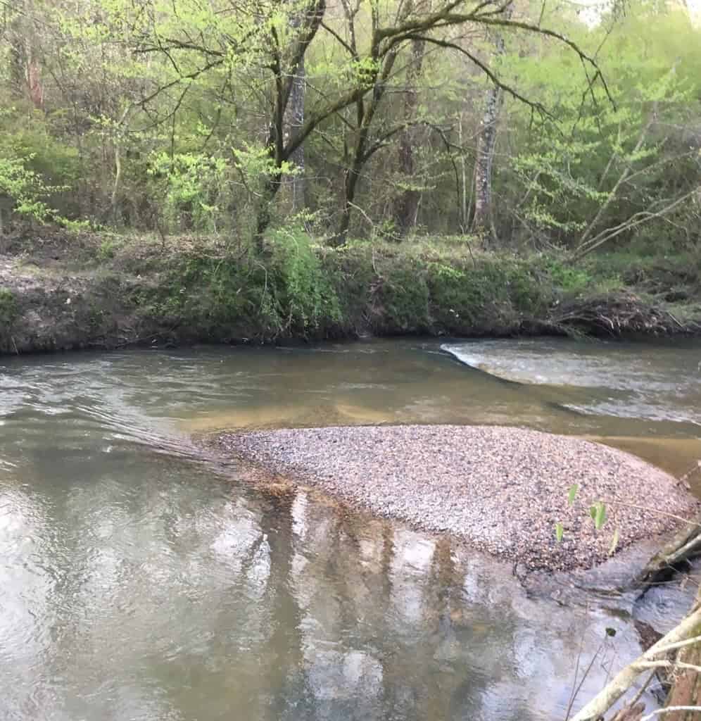 34 Acres Waterfront Property South Mississippi with Cabin