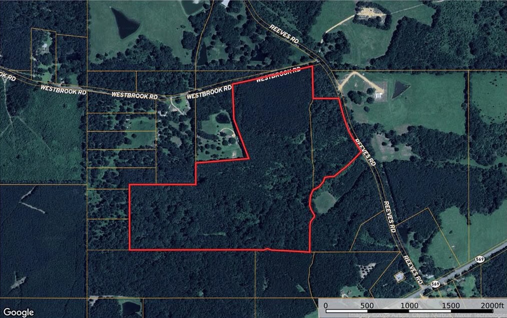 Smithdale MS 80+- Acres For Sale