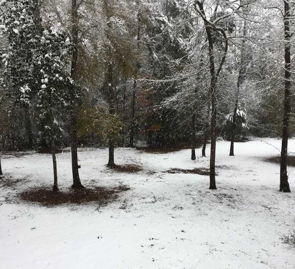 34 Acres Waterfront Property South Mississippi with Cabin