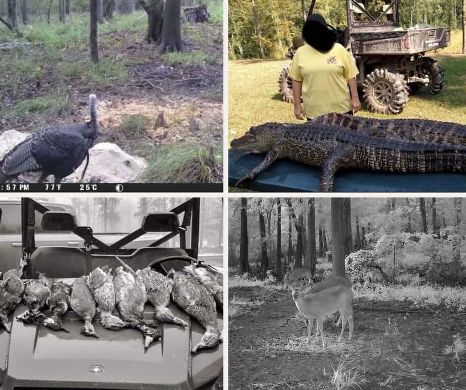 Hunting and Timberland for Sale in Ouachita Parish, LA