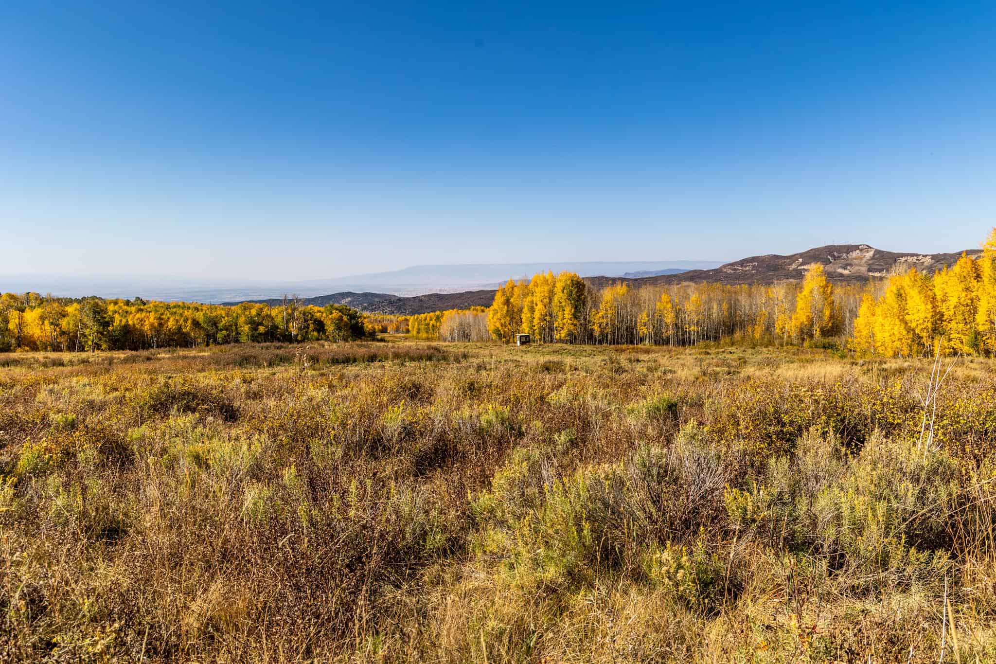 Buckhorn Lakes Ranch–Montrose, CO Elk & Mule Deer Hunting Property for Sale