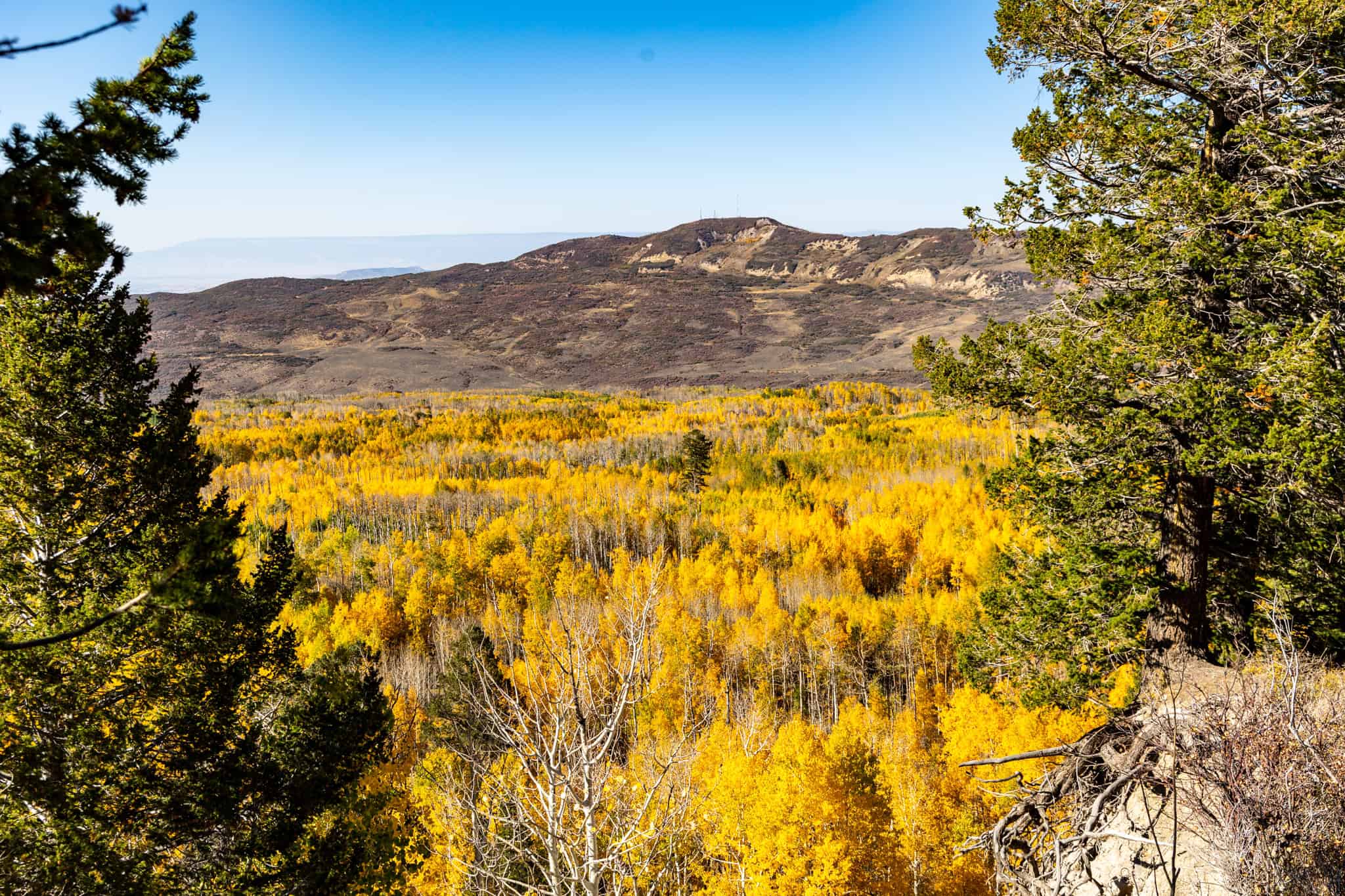 Buckhorn Lakes Ranch–Montrose, CO Elk & Mule Deer Hunting Property for Sale
