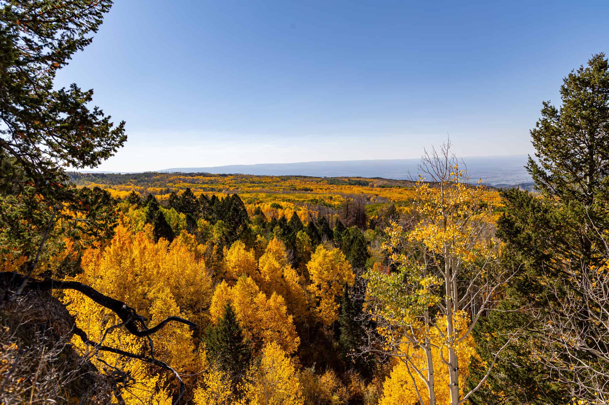 Buckhorn Lakes Ranch–Montrose, CO Elk & Mule Deer Hunting Property for Sale