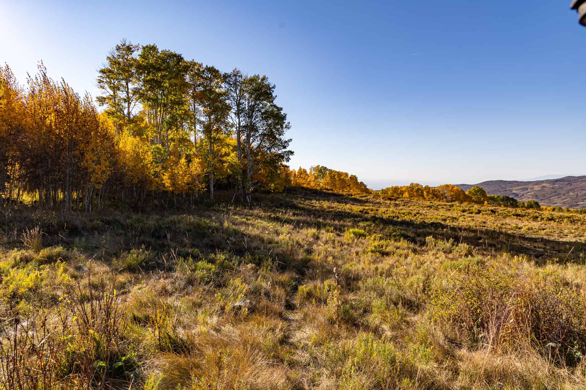 Buckhorn Lakes Ranch–Montrose, CO Elk & Mule Deer Hunting Property for Sale