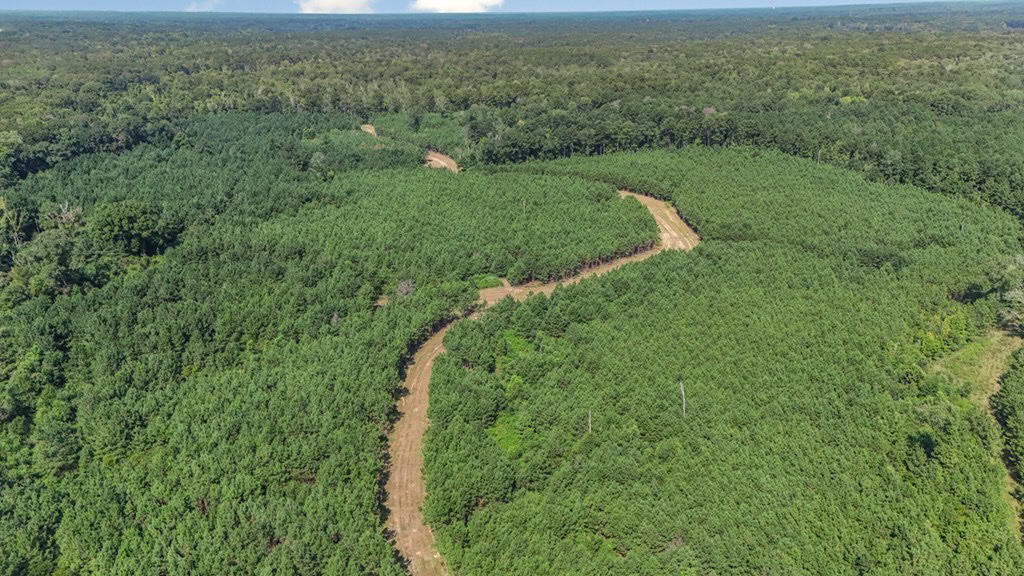 137 Acres for Sale with Comite River Frontage