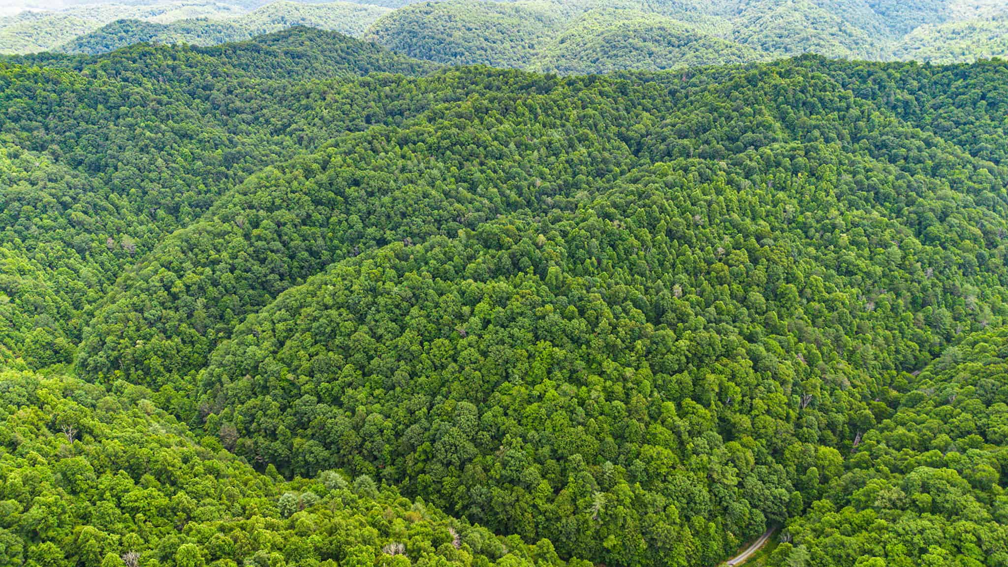 Building Lot for Sale in Bristol VA