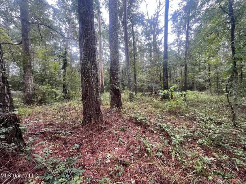 42 Acres for Sale with Old Country Home Scott Co MS