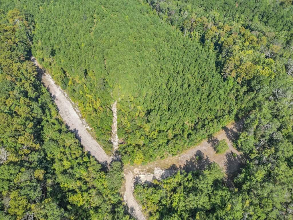 Hunting and Timberland for Sale in Ouachita Parish, LA