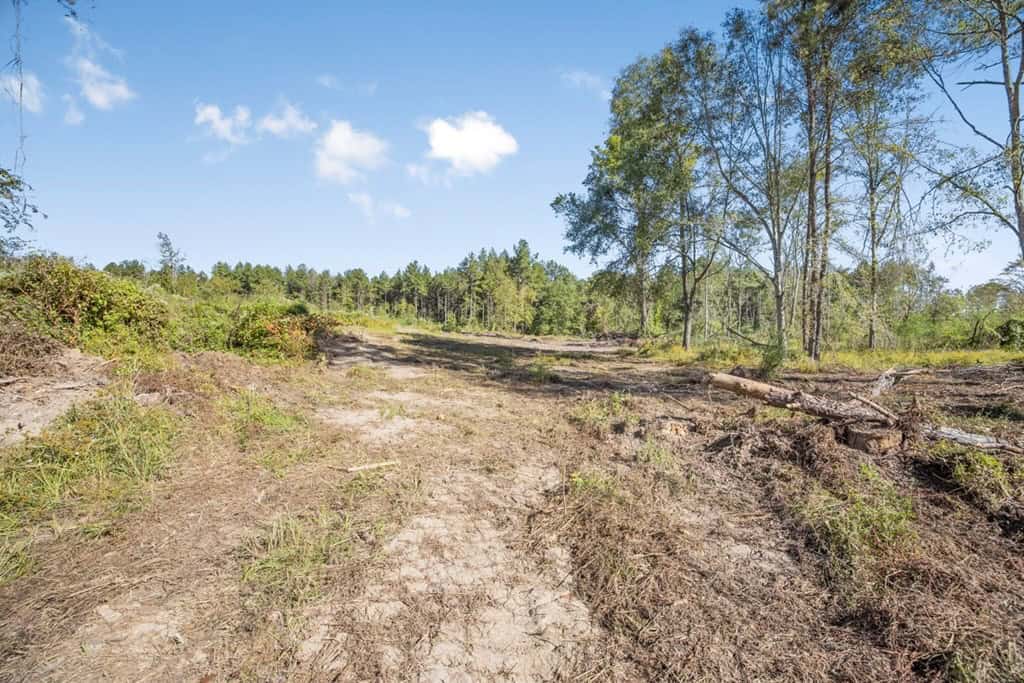 Small Hunting Tract in Amite County, MS