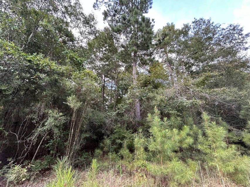The Ideal 40 Acres